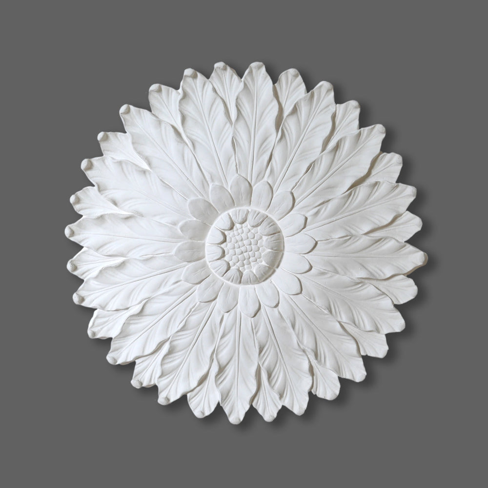 Cornice Store medium large Enriched Plaster Regency Ceiling Rose CL-CR51 image 1