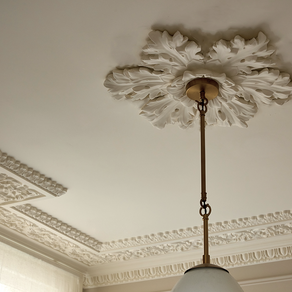 Cornice Store medium Enriched Plaster Regency Georgian Ceiling Rose CL-CR46 image 3