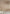 Cornice Store Large Enriched Victorian Edwardian plaster Ceiling Rose CL-CR50 image 7