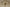 Cornice Store plaster Ceiling Rose CL-CR47 image 4