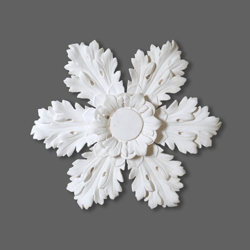 Cornice Store medium leaf enriched Plaster Regency Georgian Ceiling Rose CL-CR46 image 1