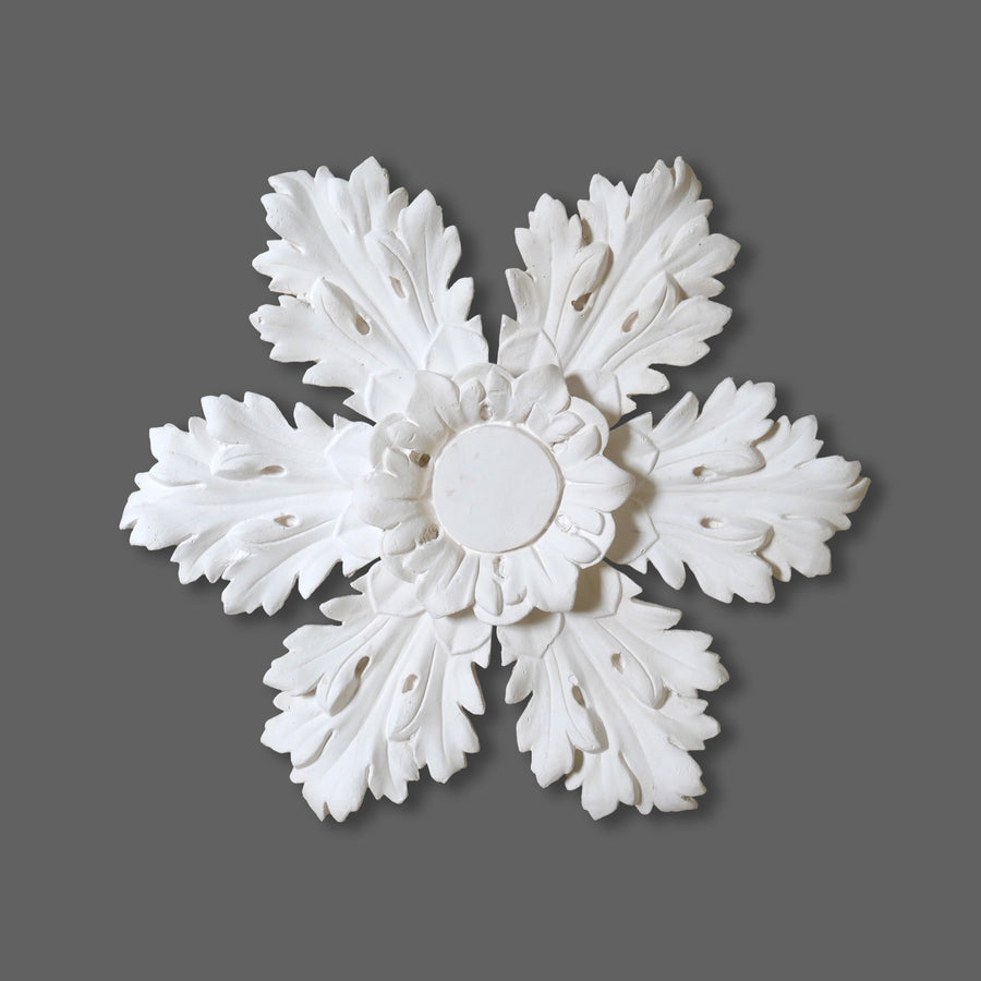 Cornice Store medium leaf enriched Plaster Regency Georgian Ceiling Rose CL-CR46 image 1