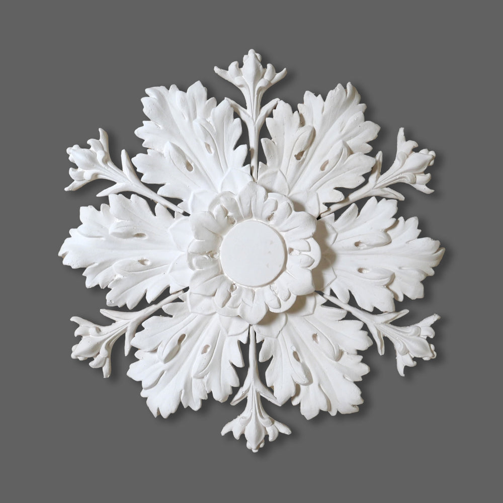 Cornice Store medium leaf enriched Plaster Regency Georgian Ceiling Rose CL-CR47 image 1