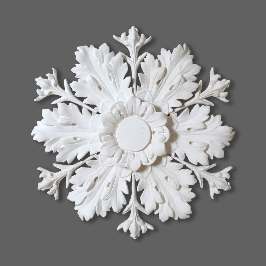 Cornice Store medium leaf enriched Plaster Regency Georgian Ceiling Rose CL-CR47 image 1