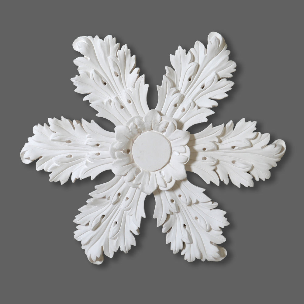 Cornice Store medium leaf enriched Plaster Regency Georgian Ceiling Rose CL-CR49 image 1