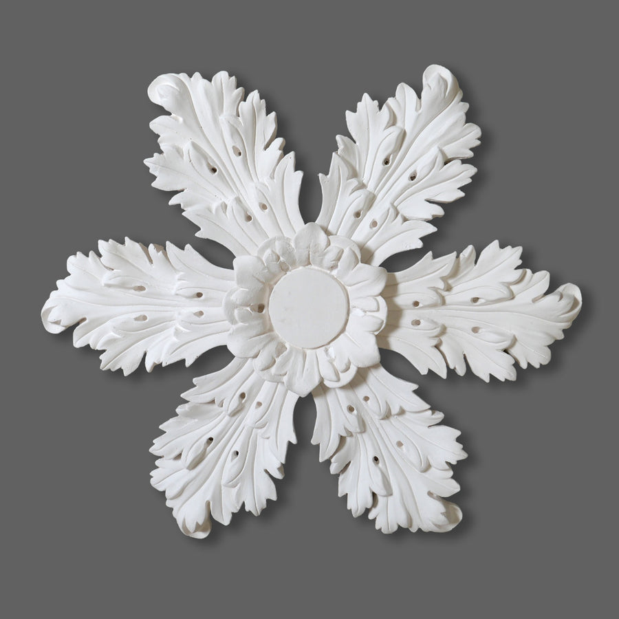 Cornice Store medium leaf enriched Plaster Regency Georgian Ceiling Rose CL-CR49 image 1