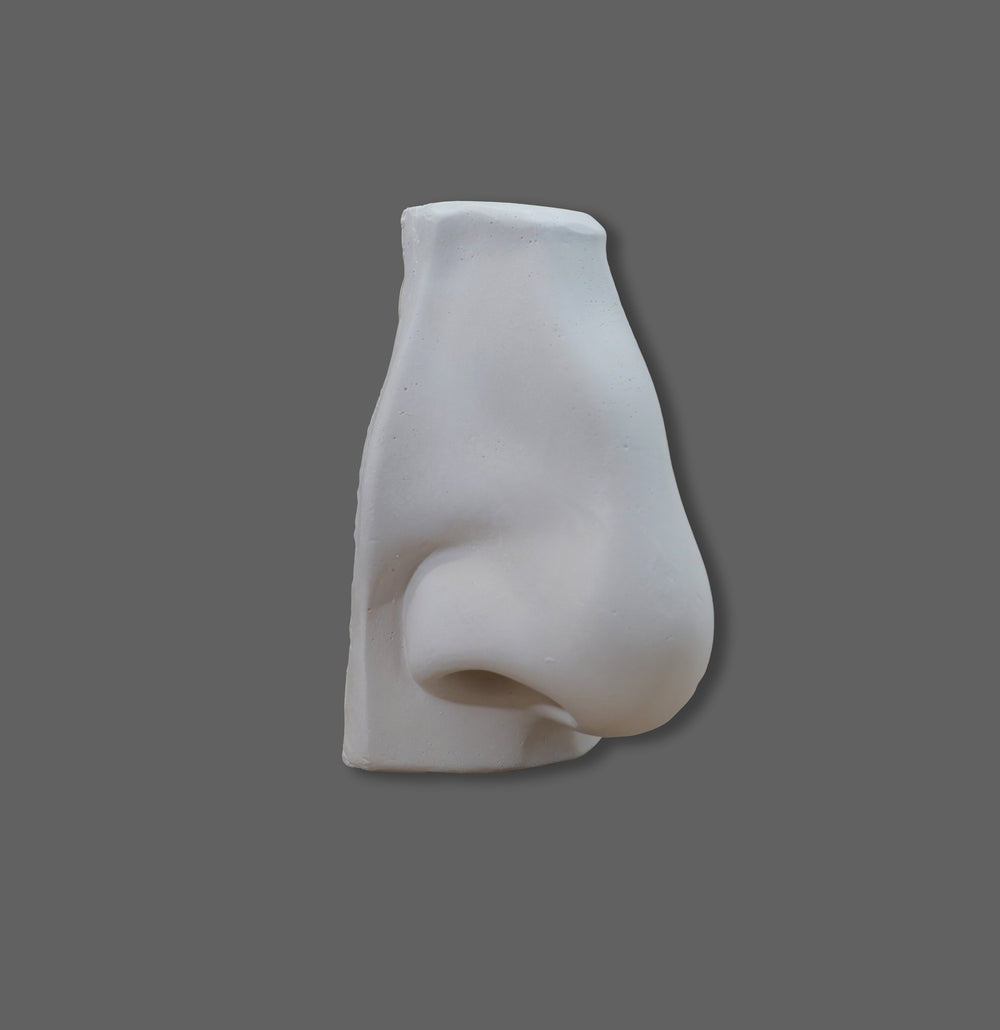 David's Nose